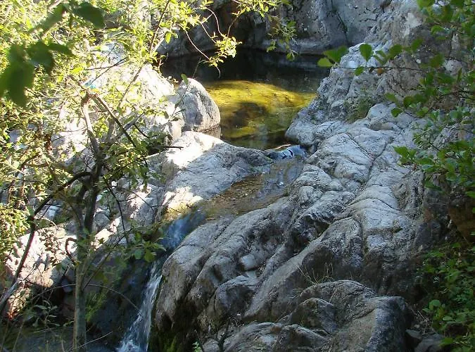 Ribes - Au Coeur De La Nature Sournia